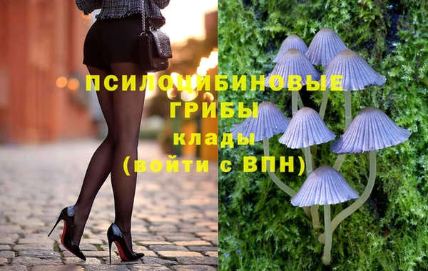 МДМА Новодвинск