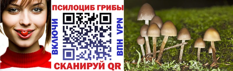 Купить  Кимовск  Псилоцибиновые грибы Magic Shrooms 